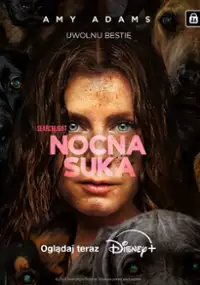 nocna suka